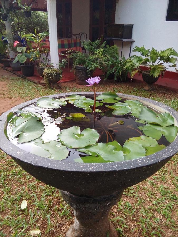 Lake House Homestay Anuradhapura Exterior foto